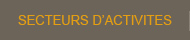 Secteurs d'activit&eacute;s